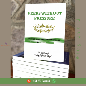 Peers Without Pressure - Journal 3