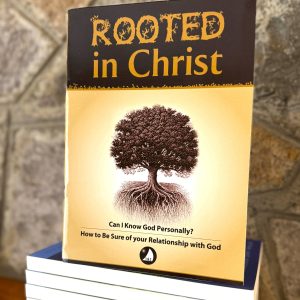 Rooted in Christ Book 1&2